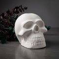 Small White Skull Shelf Decor 7.5x6.3 CM