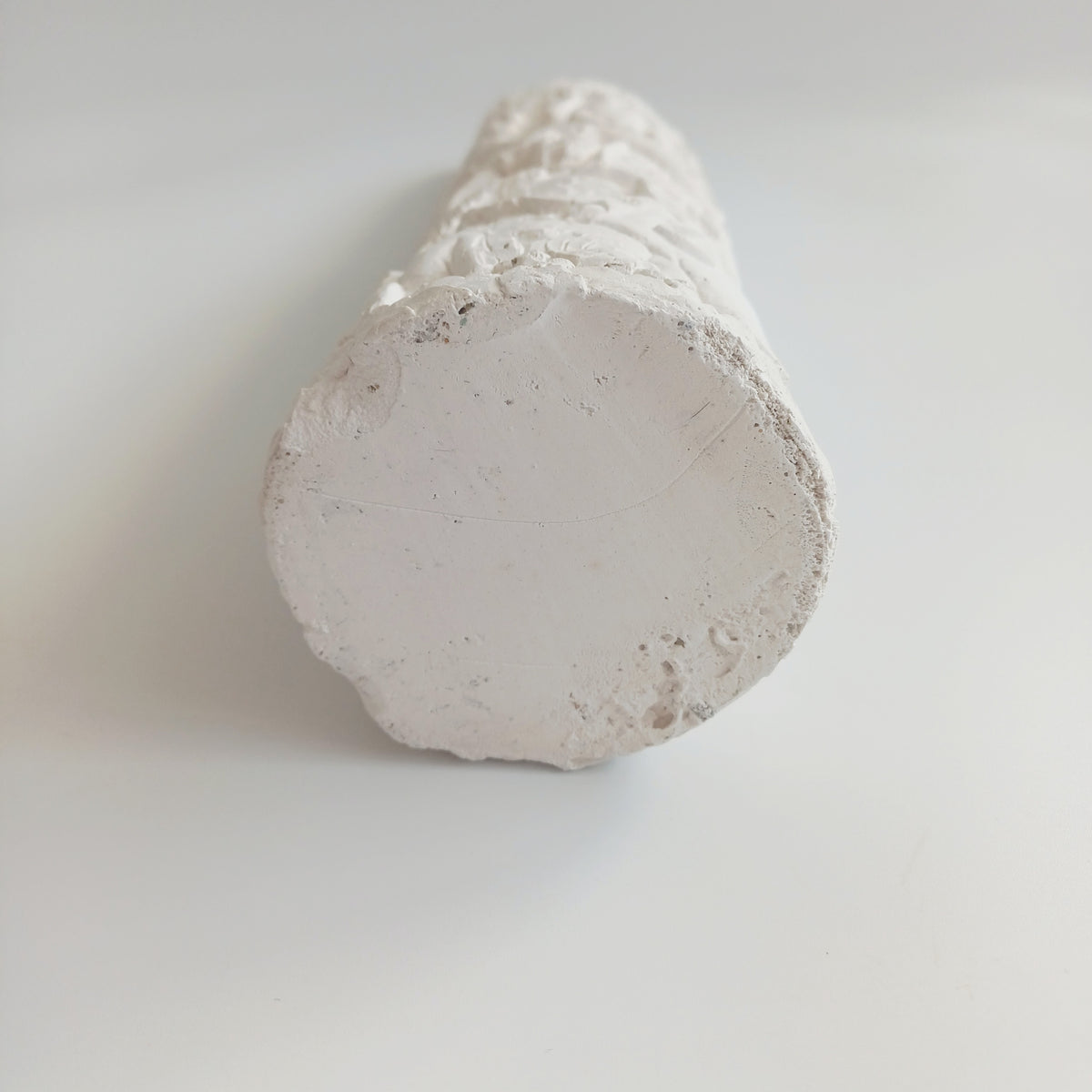 Decorative Animal Textured White Sculpture 40x7 CM